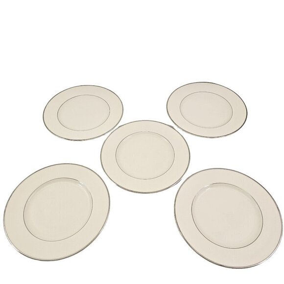Royal Devon USA Simplicity Platinum 8 ¼” Salad Luncheon Plates – Set of 5 - Picture 8 of 16